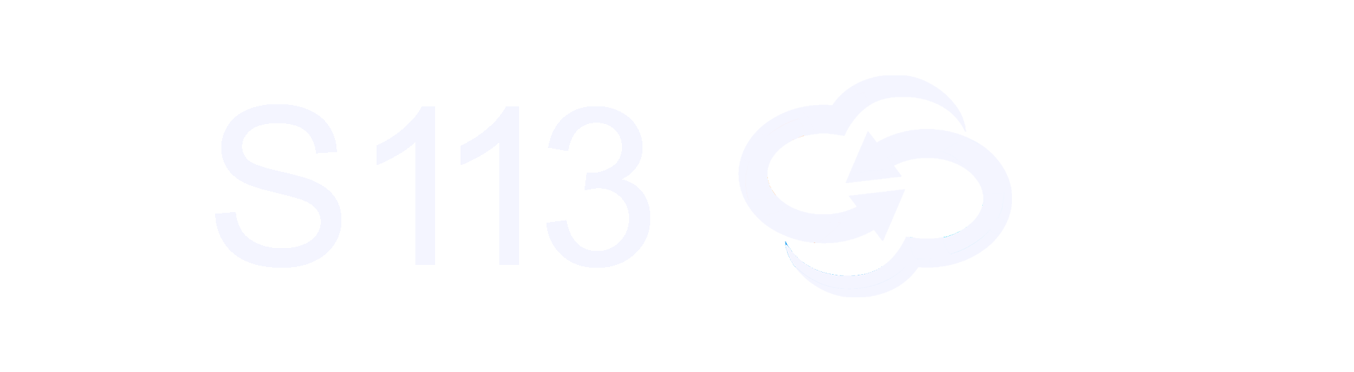 S113